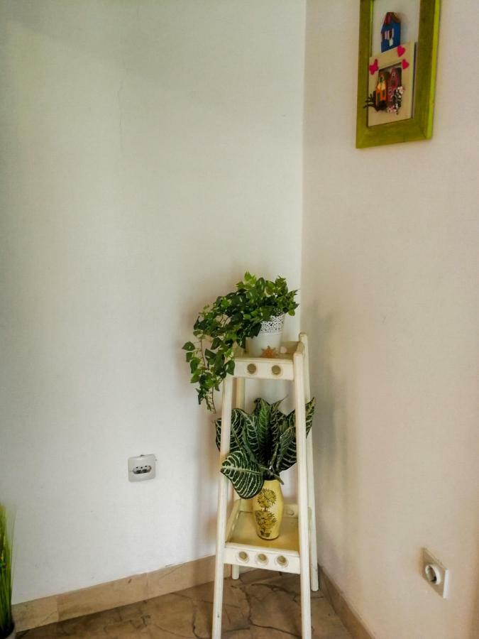Apartment Damir Sumartin